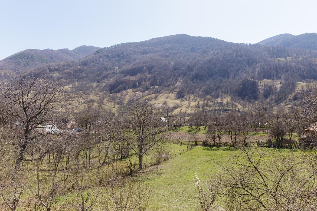Nook Of Nature Basca Rozilei ภายนอก รูปภาพ